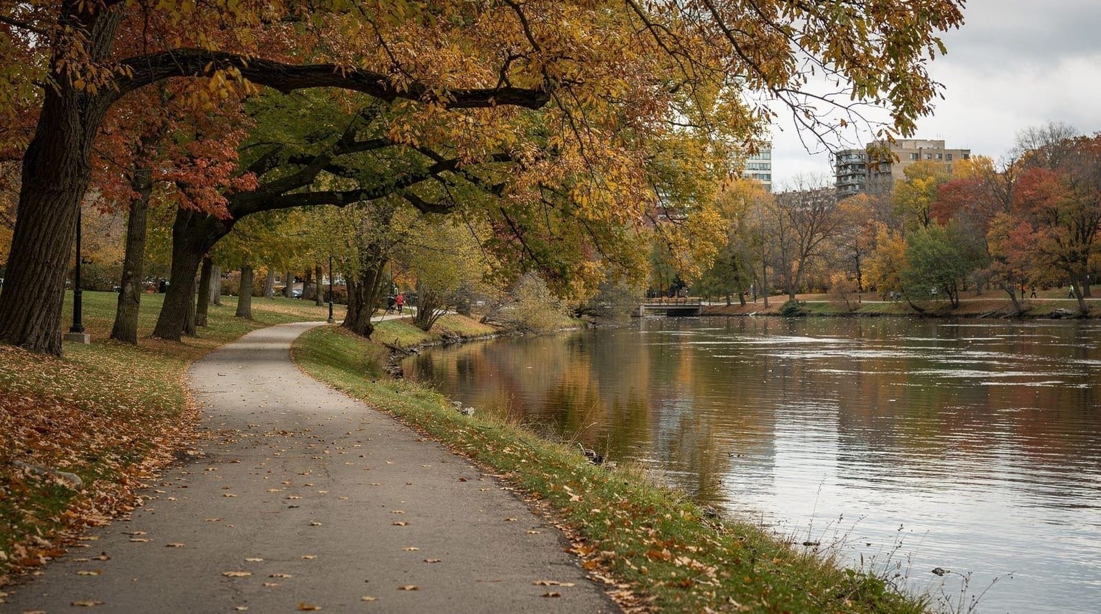 London, Ontario, Ontario
