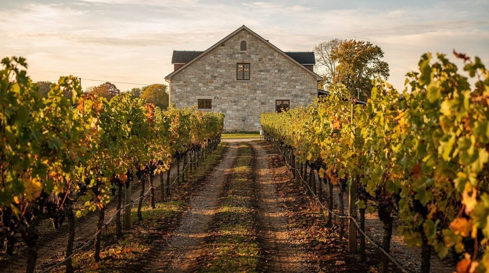 Best wineries in Niagara-on-the-Lake — Niagara-on-the-Lake's most visited wineries, from lakeside tasting rooms to esca