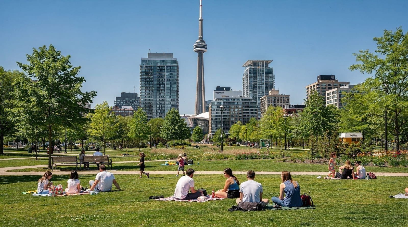Toronto: Premium Night Driving Tour with CN Tower Entry