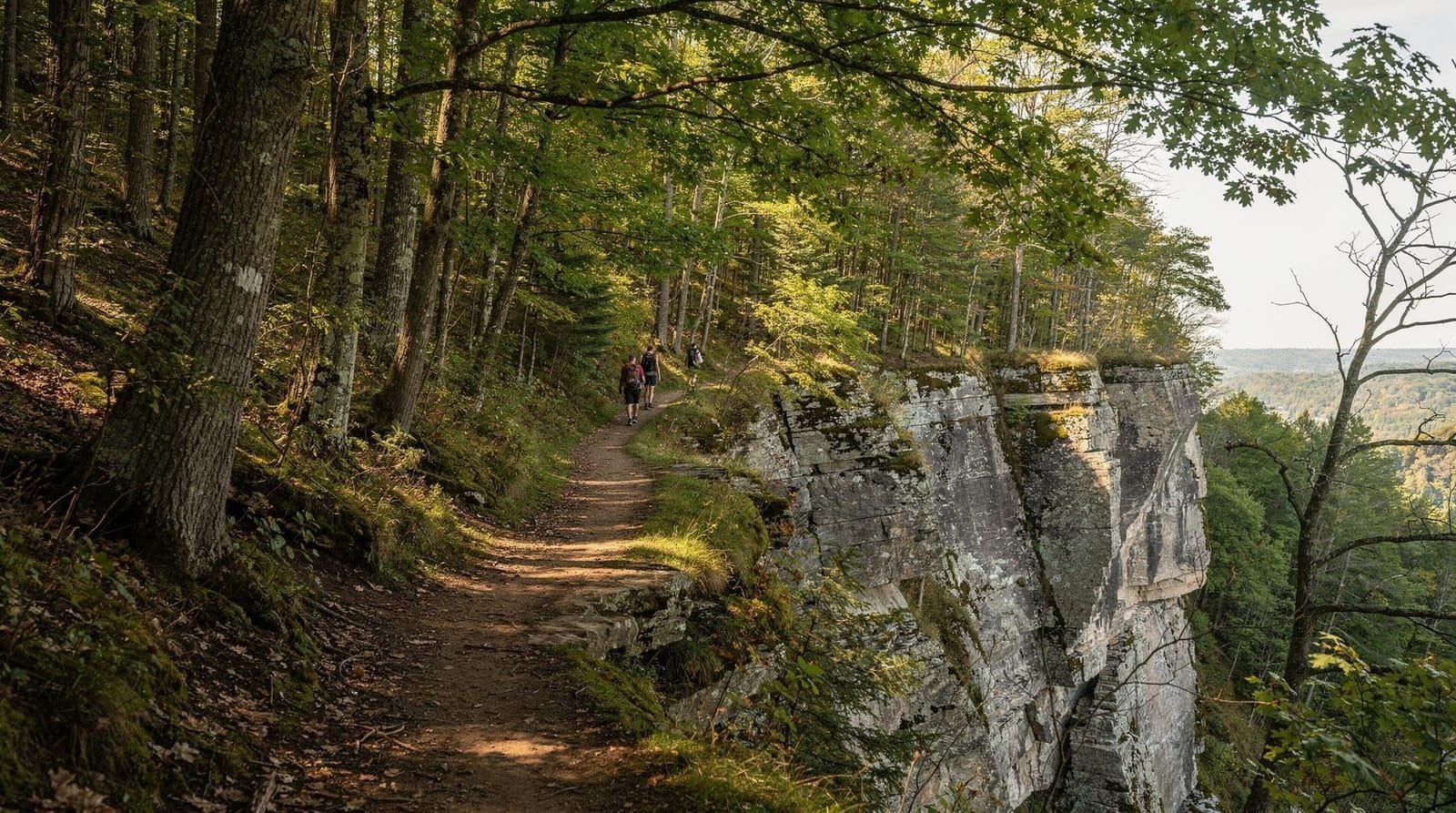 Niagara Escarpment Trail guide — Hiking the Bruce Trail's Niagara section and the escarpment's conservation-area 