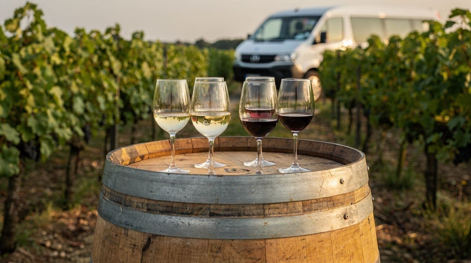 Niagara wine tour options compared — Bus tour, private car, bicycle, or self-drive — how Niagara's wine tour formats 