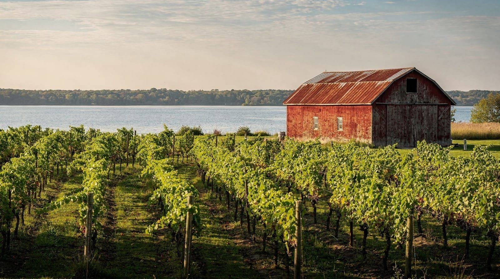 Toronto: Private Prince Edward County Wine Day Tour