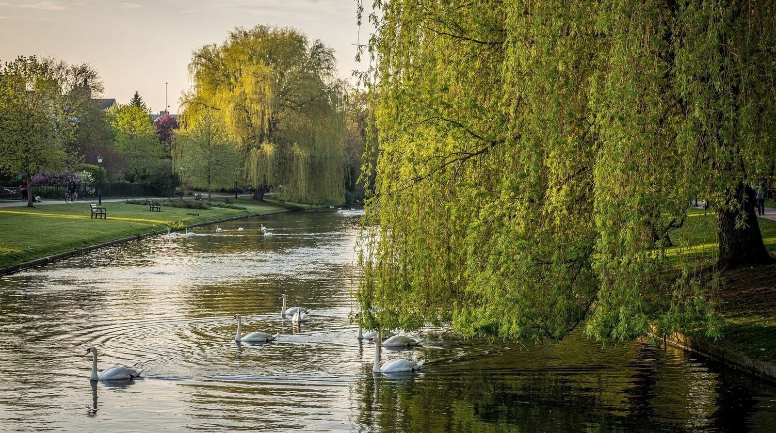 Things to do in Stratford — World-class theatre, riverside gardens, and a small-town food scene — what to do