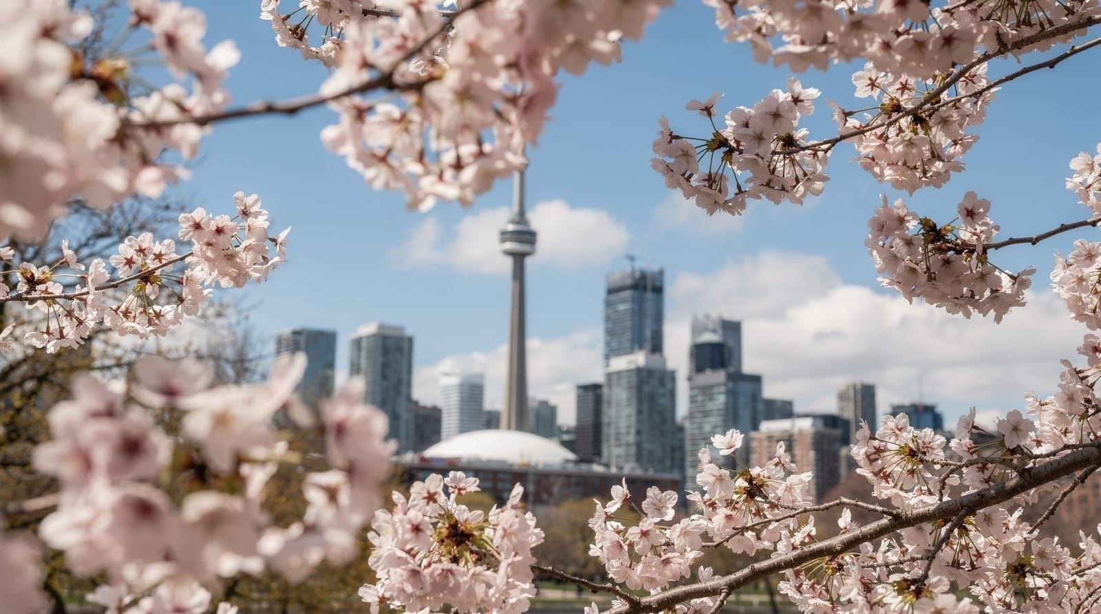Toronto in spring guide — What to expect from Toronto between April and May: unpredictable weather, the ch