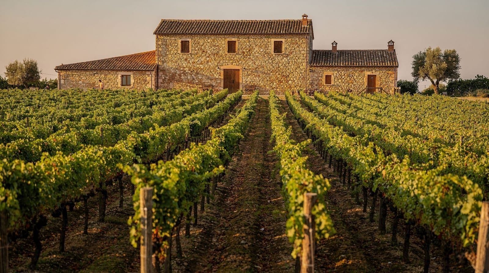 Wine country weekend planning guide — How to structure a Niagara or Prince Edward County wine weekend from Toronto — w