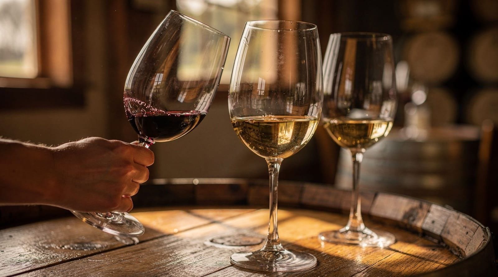 Wine tasting etiquette in Niagara — What to actually expect at a Niagara winery tasting room — how to taste, when to